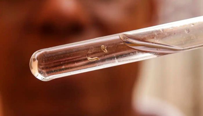 Brasil tem mais de um milhão de casos de dengue este ano